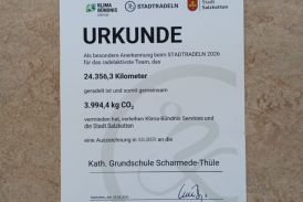 Silber 2026 Stadtradeln